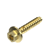 Torx Screw 6X30