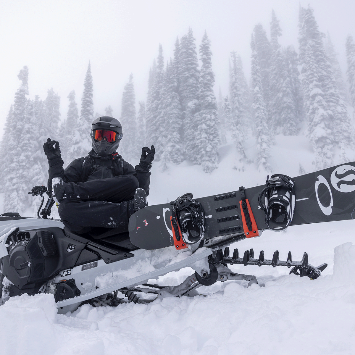 Support Ski-Doo pour planche à neige / skis LinQ