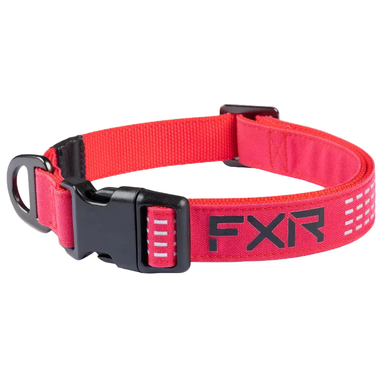 FXR Dog Collar