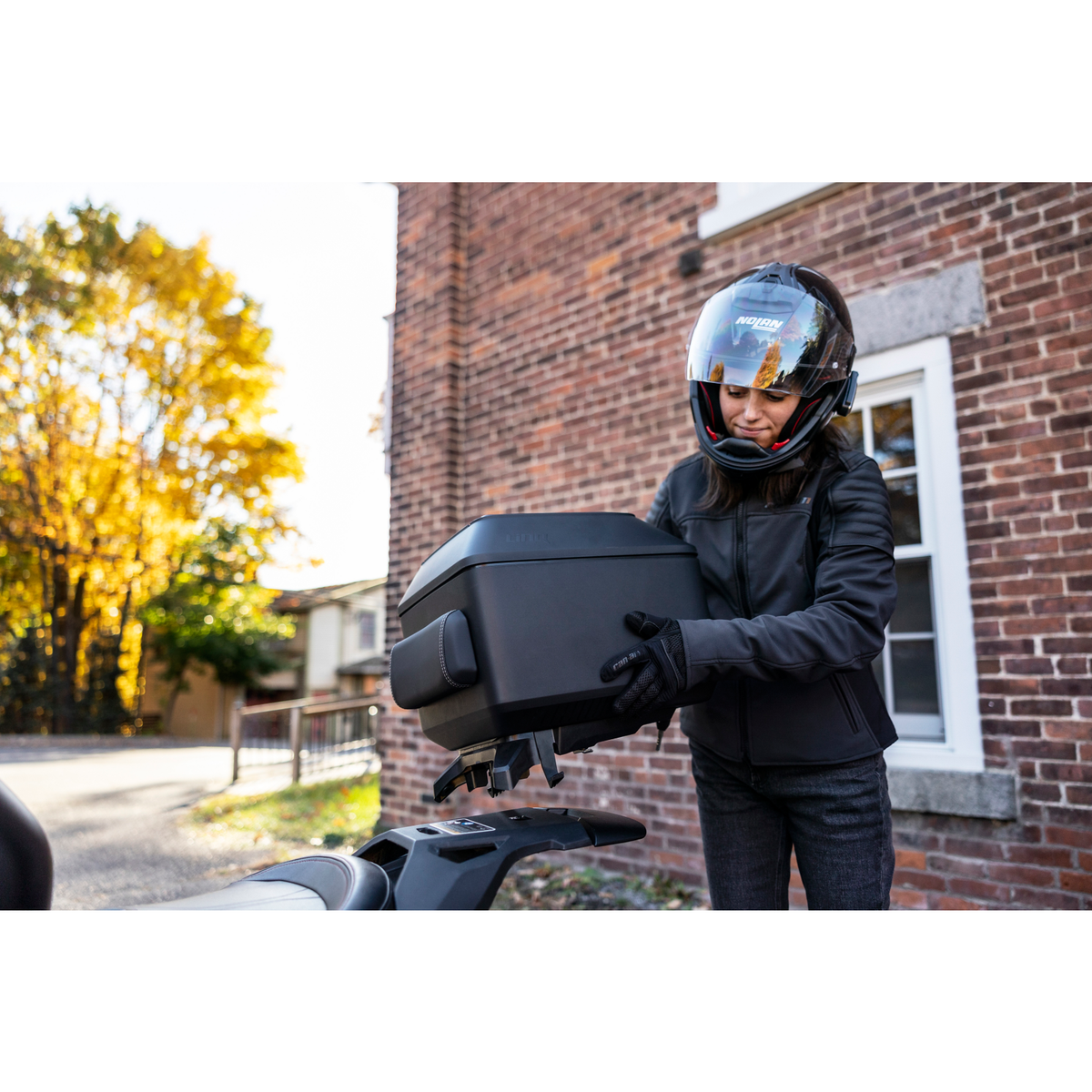 LinQ Top Case (36L)