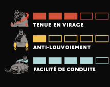 Lisses au carbure-TRAVELER