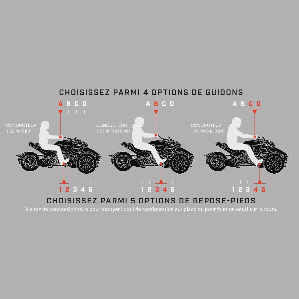 Guidon longue portée